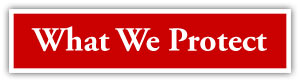 What We Protect